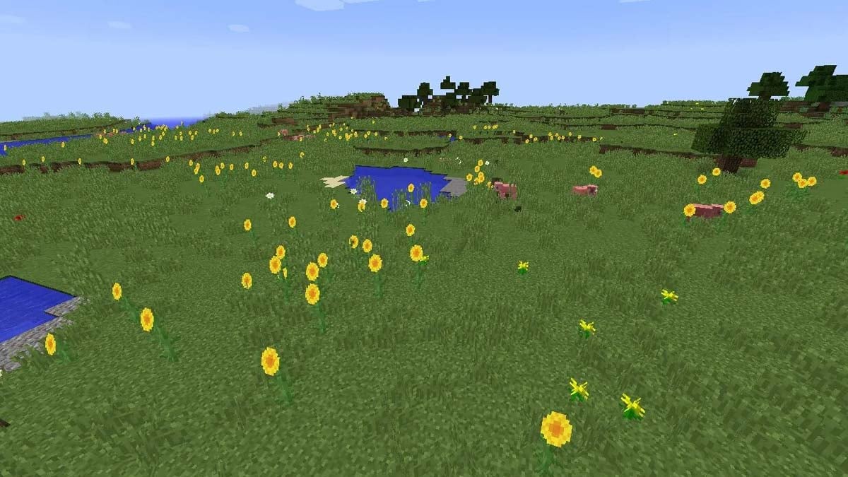Huge sunflower plains in Minecraft