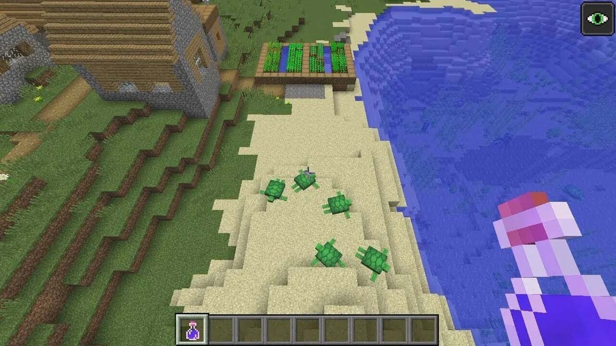 Turtle beach and village in Minecraft
