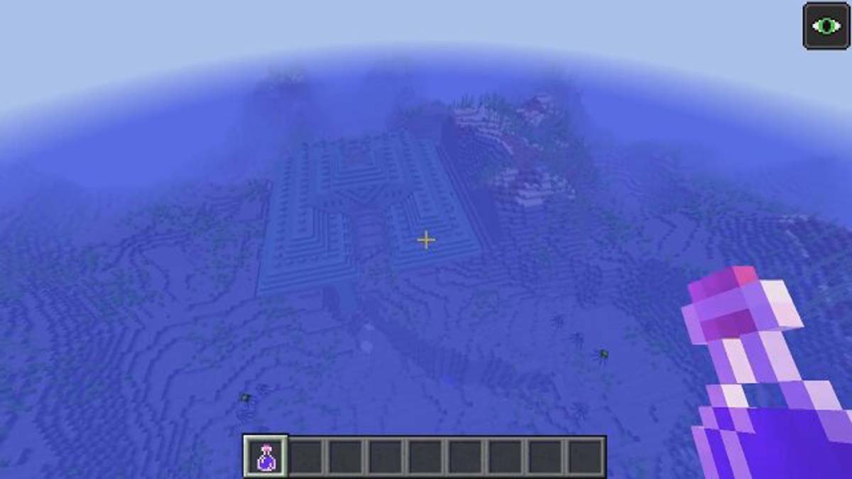 Ocean monument and underwater ravine in Minecraft
