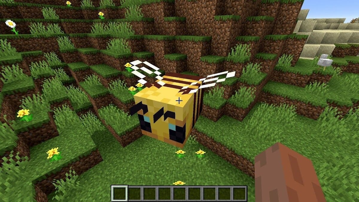 A giant bee at spawn in Minecraft