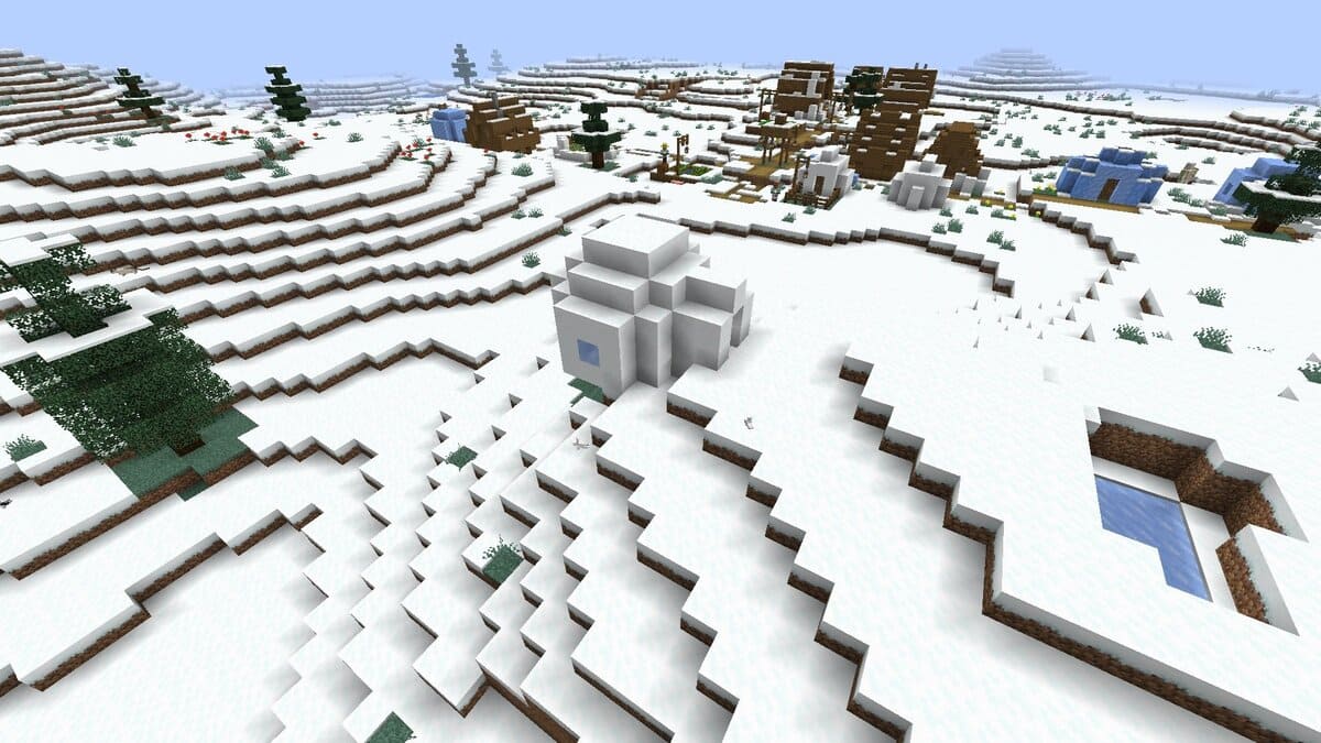 Igloo and snow village in Minecraft