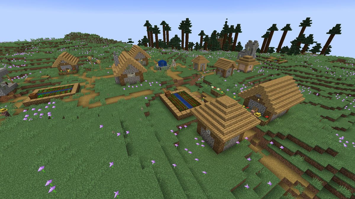 Meadow biome and village in Minecraft