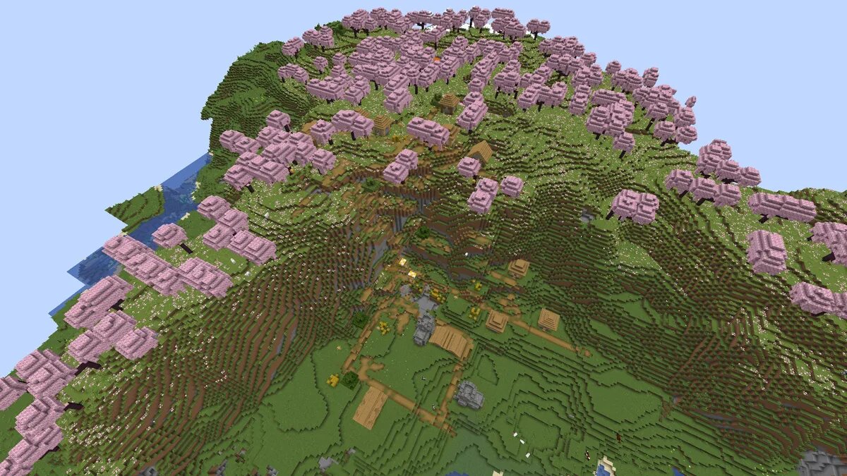 Cherry grove and village in Minecraft