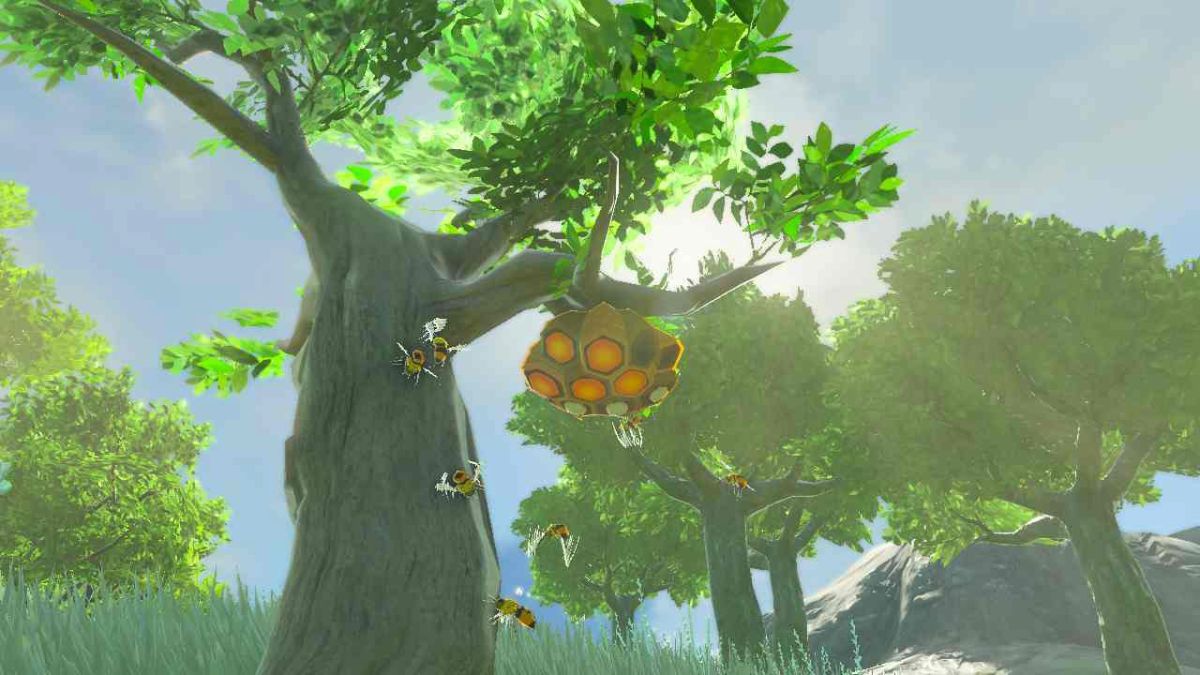 Zelda: Tears of the Kingdom — Where to Find Courser Bee Honey in TotK