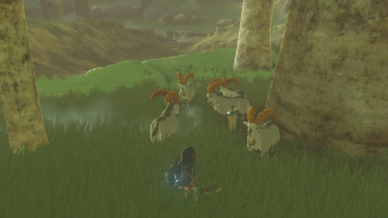 White Goats Gone Missing Quest Guide for Zelda: Tears of the Kingdom ...