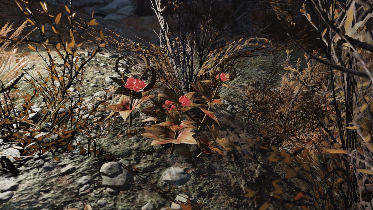 Fallout 76 Fruits and Vegetables Foraging Guide – GameSkinny