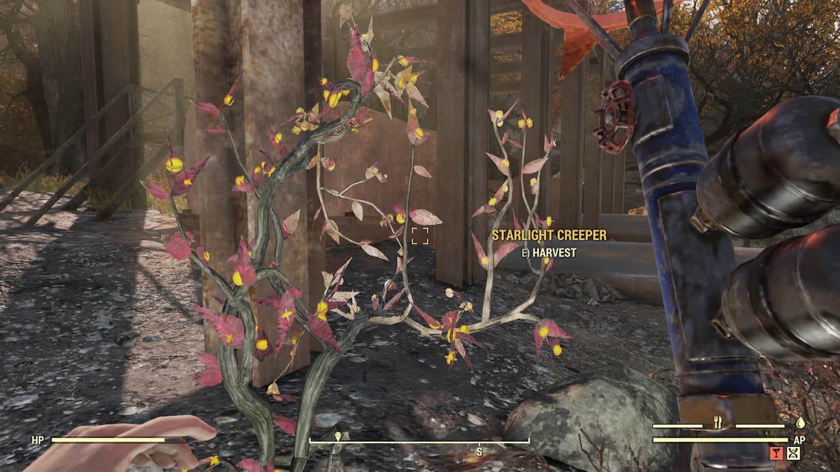 Fallout 76 Fruits and Vegetables Foraging Guide – GameSkinny