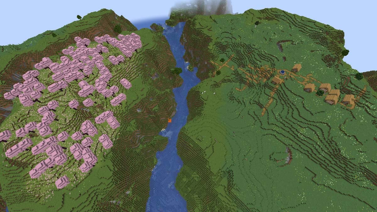 Cherry grove and village in Minecraft