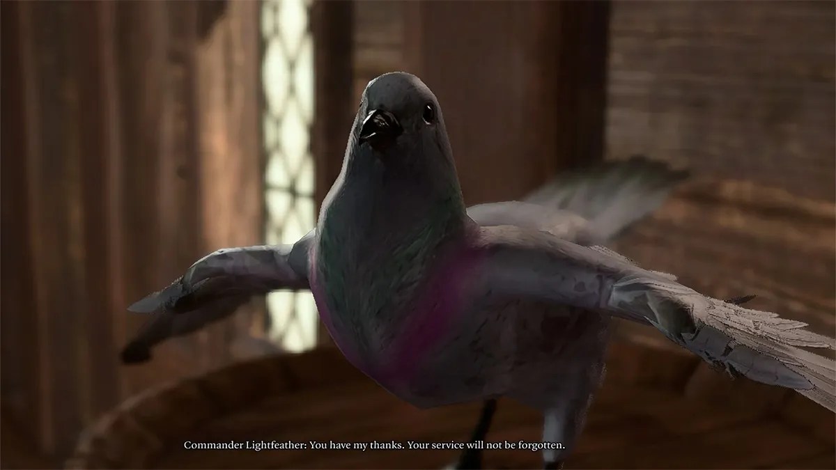 commander lightfeather the pigeon in baldurs gate 3