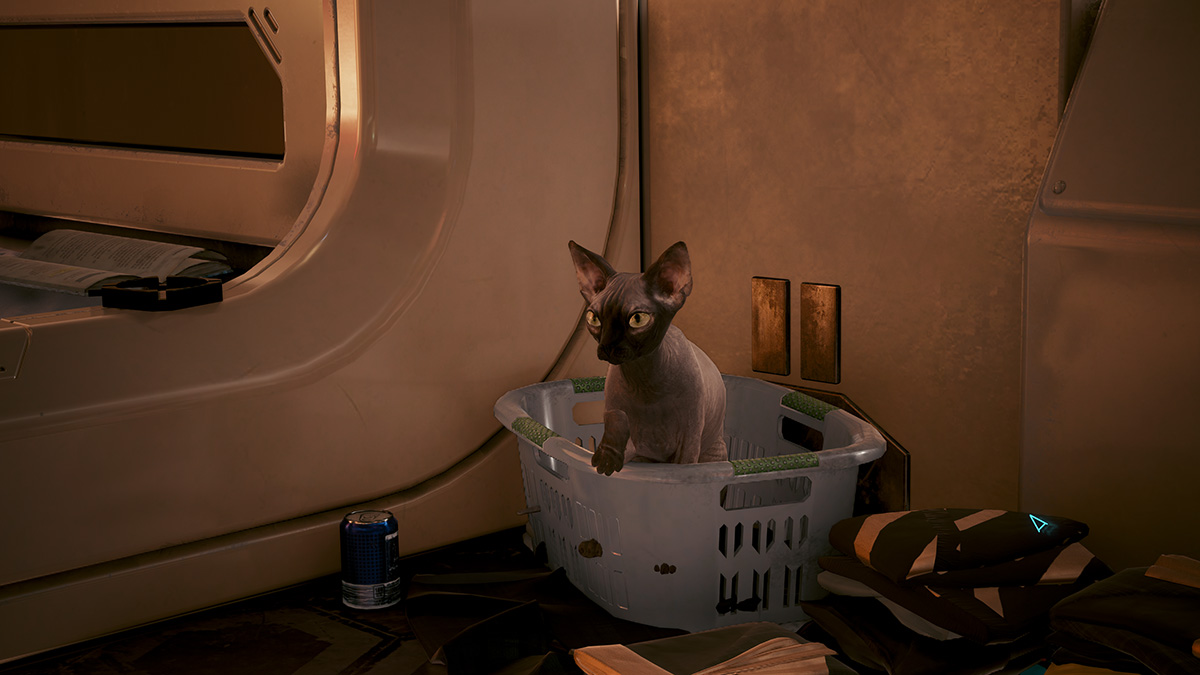 Cyberpunk 2077 How to Get Nibbles the Pet Cat GameSkinny