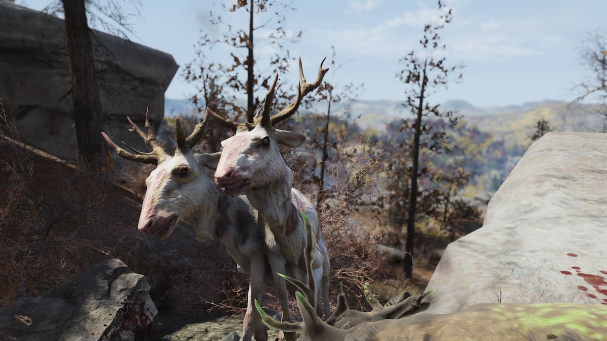 Fallout 76: Best Places to Farm Radstags – GameSkinny