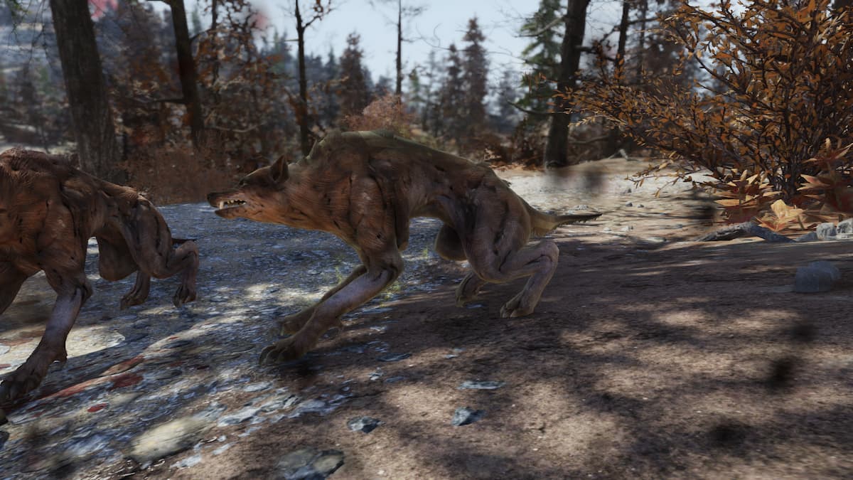 Fallout 76 Where To Find Wolves Gameskinny 3756