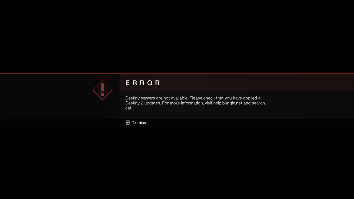 The error code Cat screen in Destiny 2