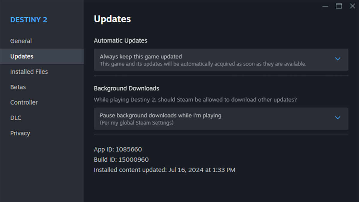 The Steam Automatic Updates menu for Destiny 2