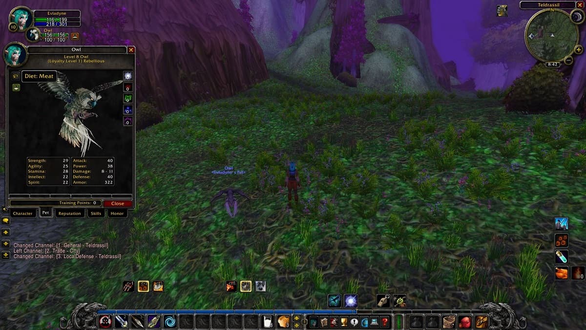 WoW Classic How to Feed Your Pet as a Hunter in Season of