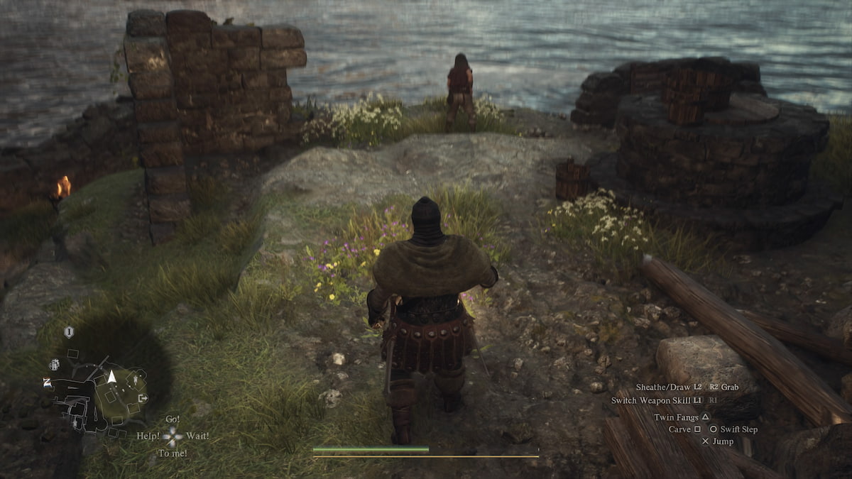 dragons dogma 2 cliffside overlooking the sea with a child playing on it