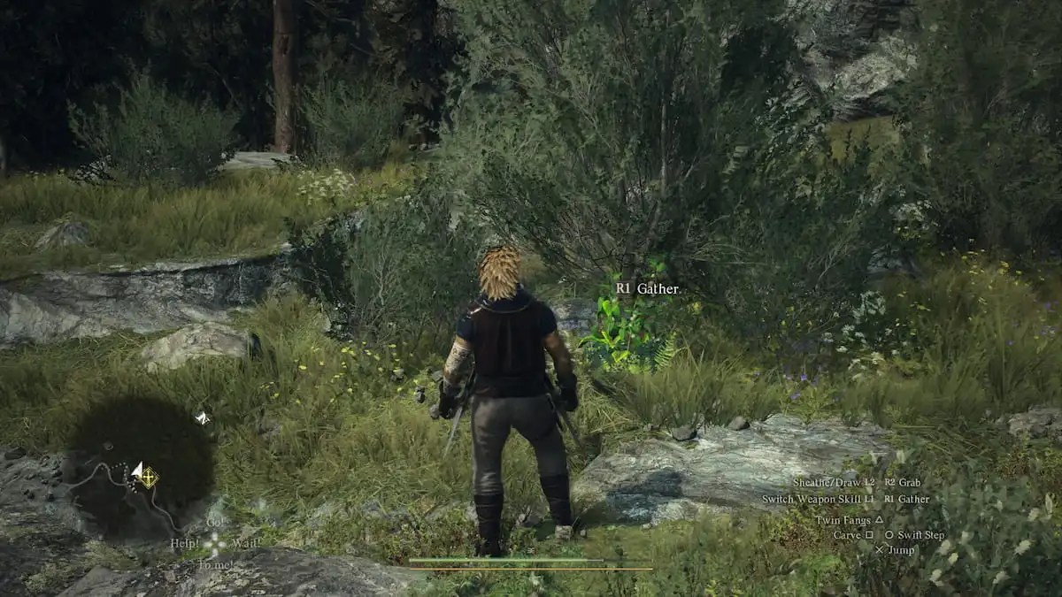 plant in dragons dogma 2