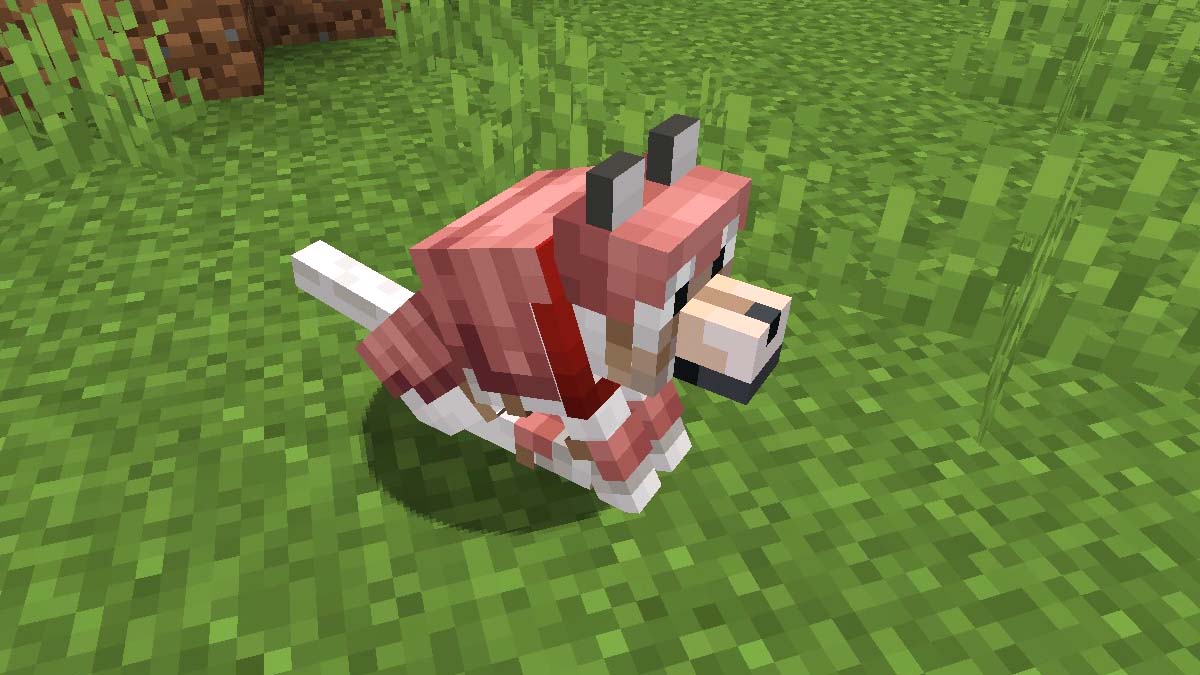 How to Craft, Use, and Dye Wolf Armor in Minecraft – GameSkinny