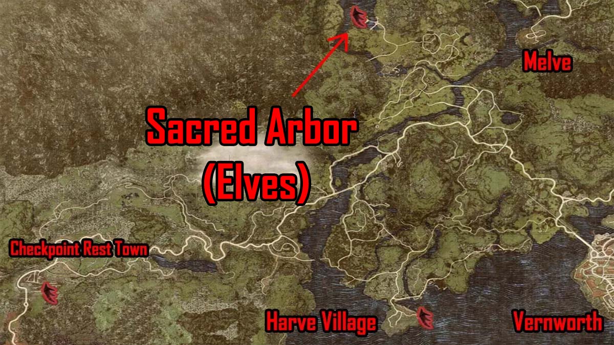 elves location in dragons dogma 2 sacred arbor