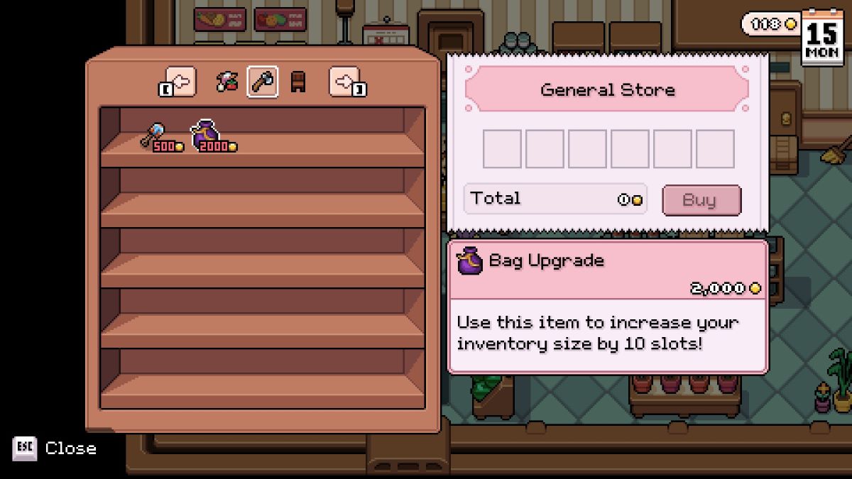 Second Bag Upgrade for sale at the General Store in Fields of Mistria