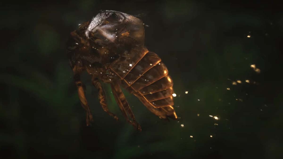 Golden Cicada form in Black Myth Wukong