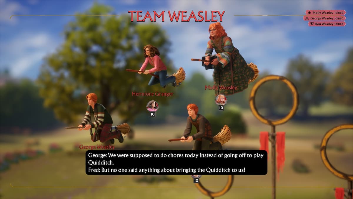 Team Weasley in Quidditch