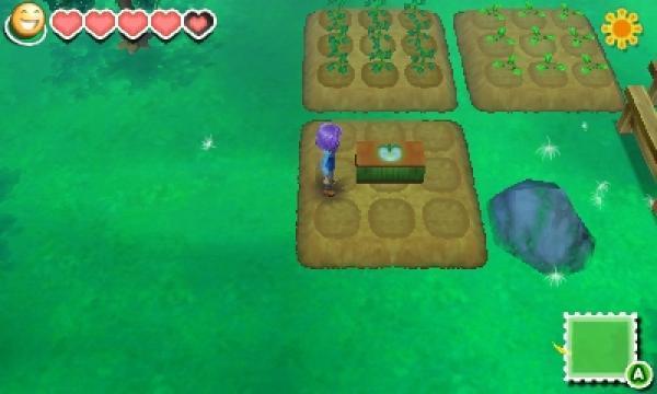 Story Of Seasons: Crop List, Seasons, And Selling Price Reference Guide –  Gameskinny