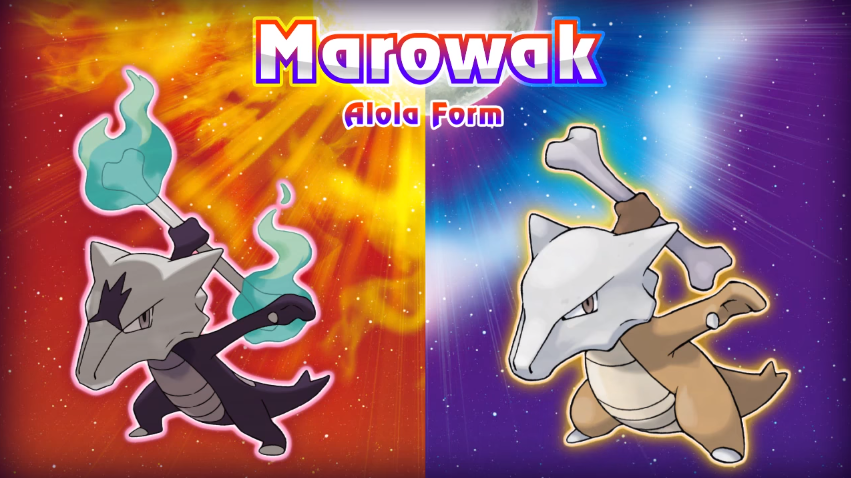 All Alolan Forms Pokemon  All Alola Pokémon in Sun and Moon 