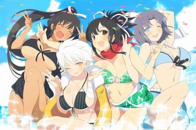 Senran Kagura Estival Versus review – Console ecchi gaming at its bounciest  – GameSkinny