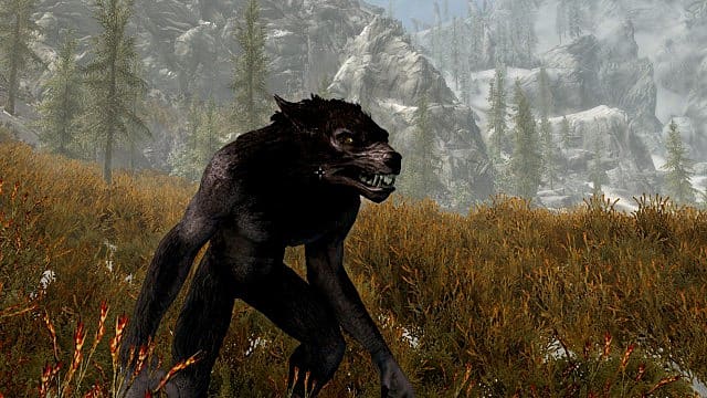 How to Become a Werewolf in Skyrim and Lycanthropy Cure Explained -  Geekflare
